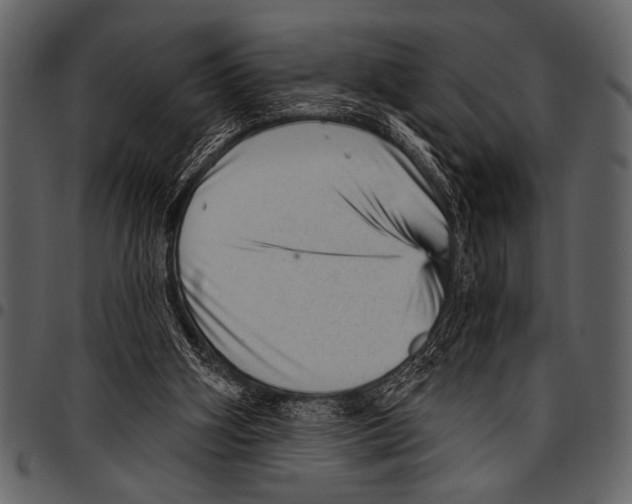 X0000097490106200803201539