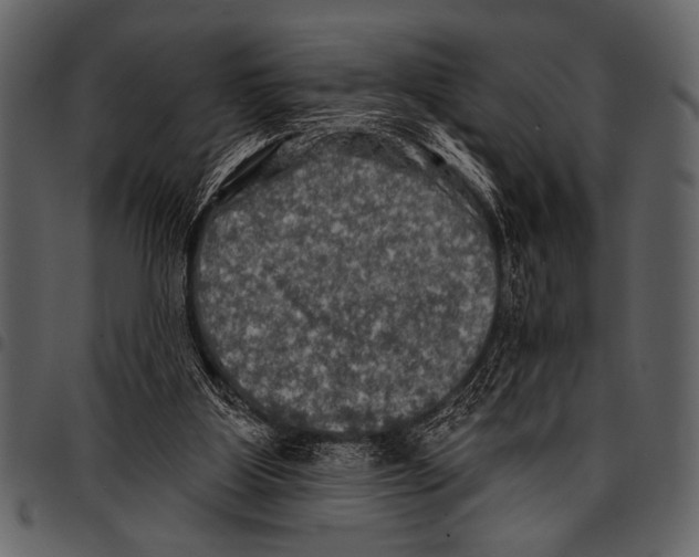 X0000097490107200803201539