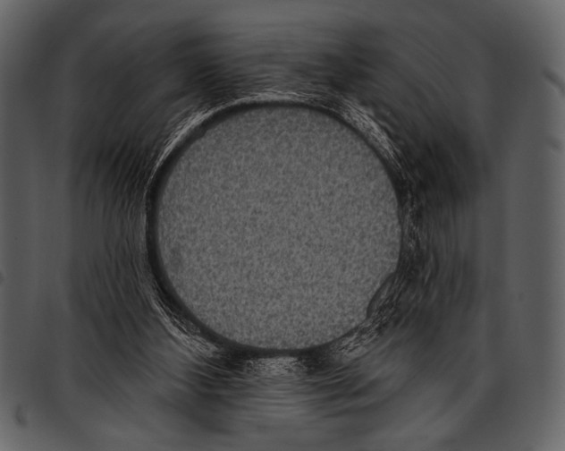 X0000097490108200803201539