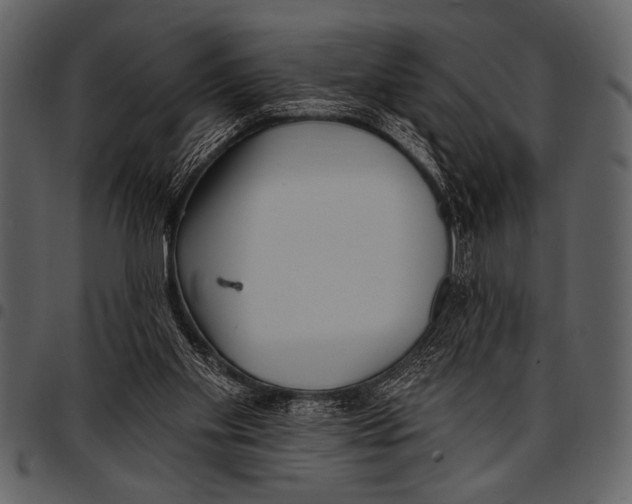 X0000097490109200803201539