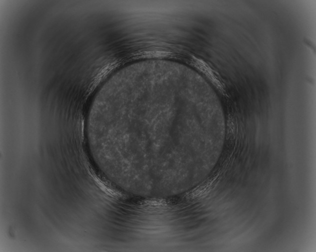 X0000097490110200803201539