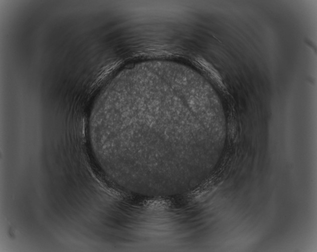 X0000097490115200803201539