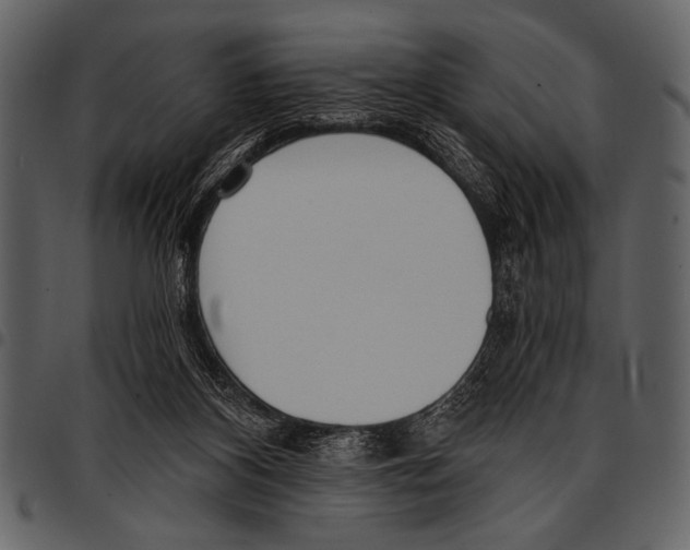 X0000097490116200803201539