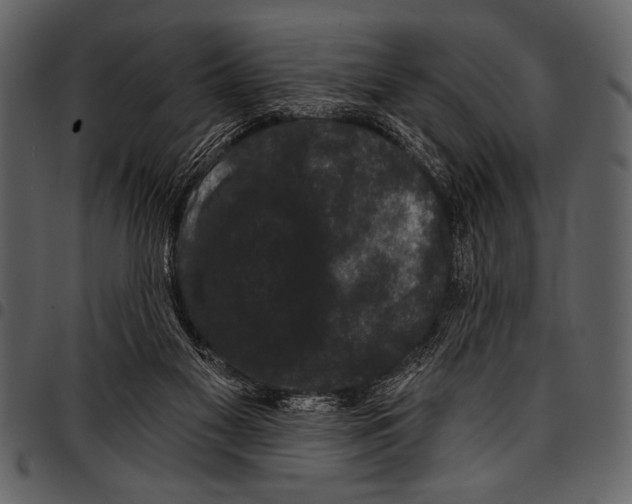 X0000097490117200803201539