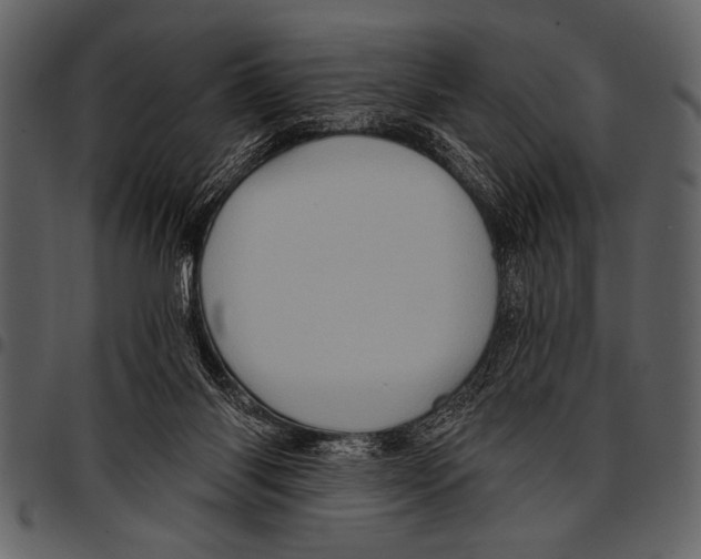 X0000097490118200803201539