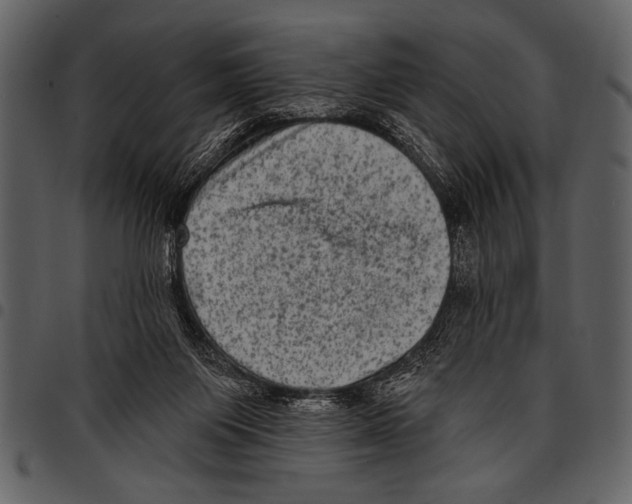 X0000097490119200803201539