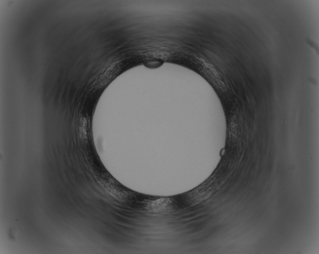 X0000097490122200803201539