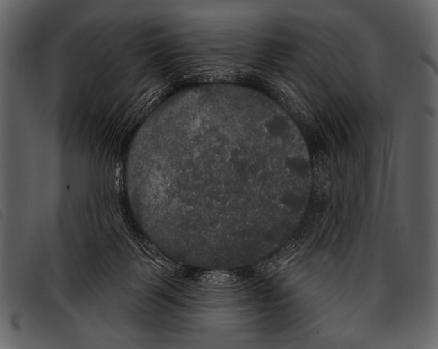 X0000097490123200803201539