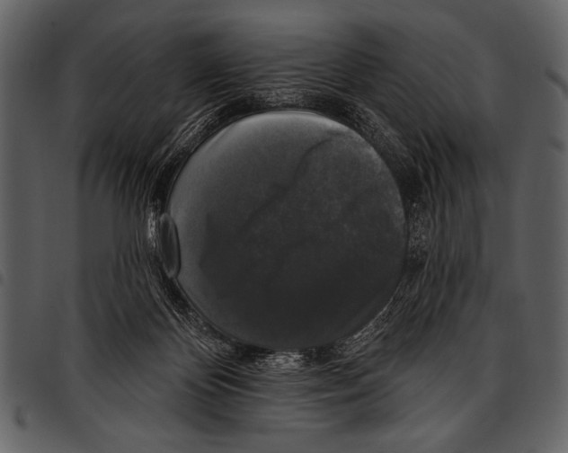 X0000097490124200803201539