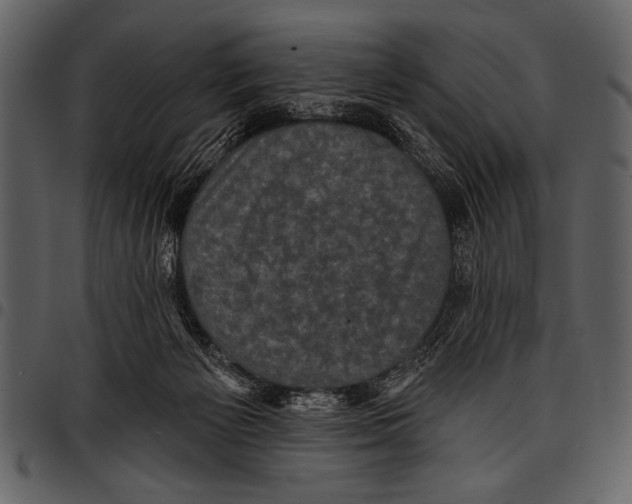 X0000097490125200803201539