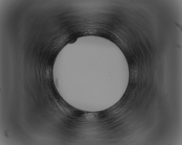 X0000097490126200803201539