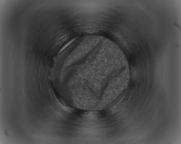 X0000097490128200803201539