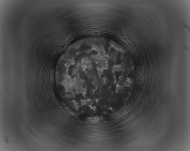 X0000097490131200803201539