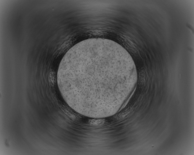 X0000097490135200803201539