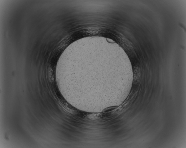 X0000097490136200803201539