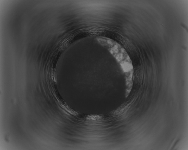 X0000097490137200803201539