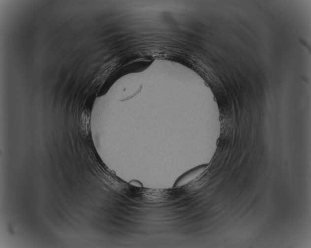 X0000097490142200803201539