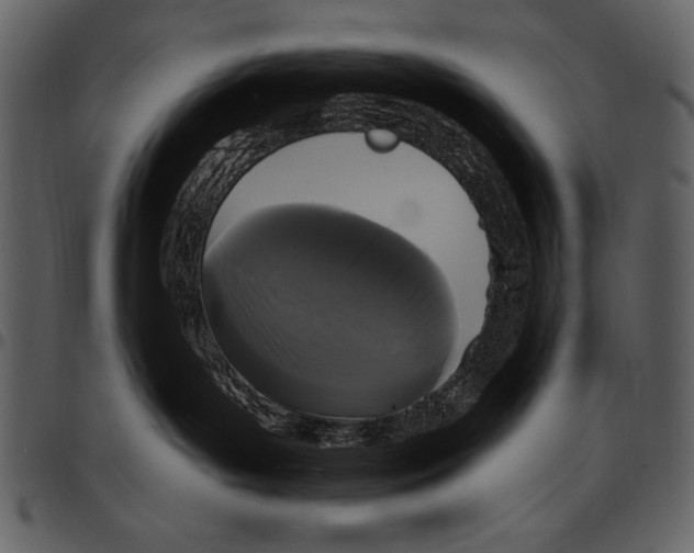 X0000097490143200803201539