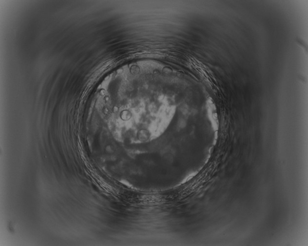 X0000097490145200803201538