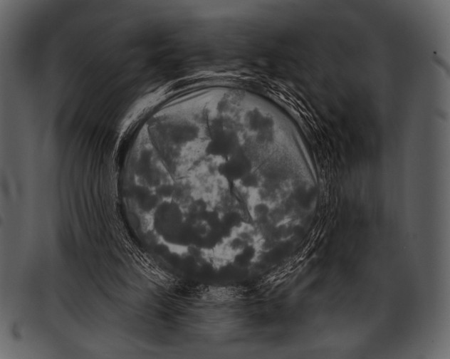 X0000097490149200803201538