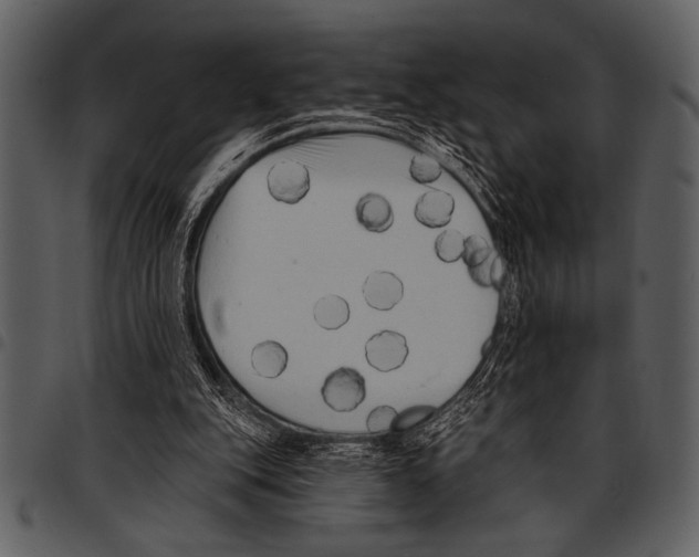 X0000097490151200803201538