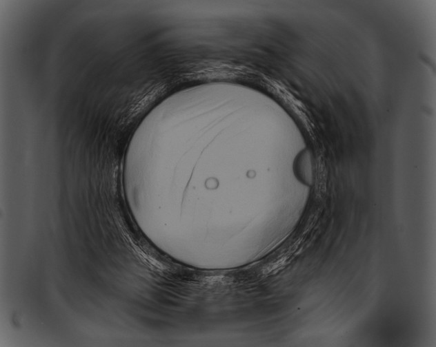 X0000097490153200803201538