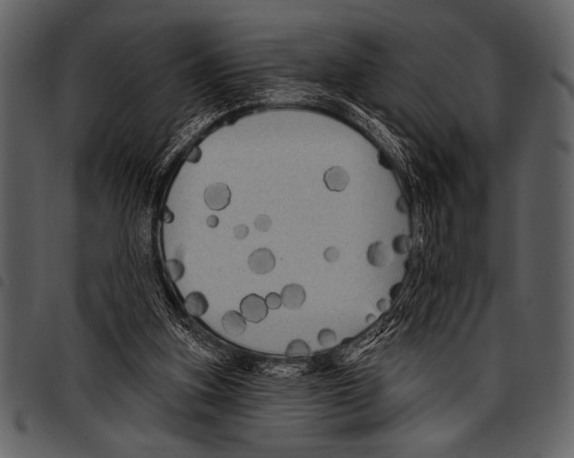 X0000097490155200803201538