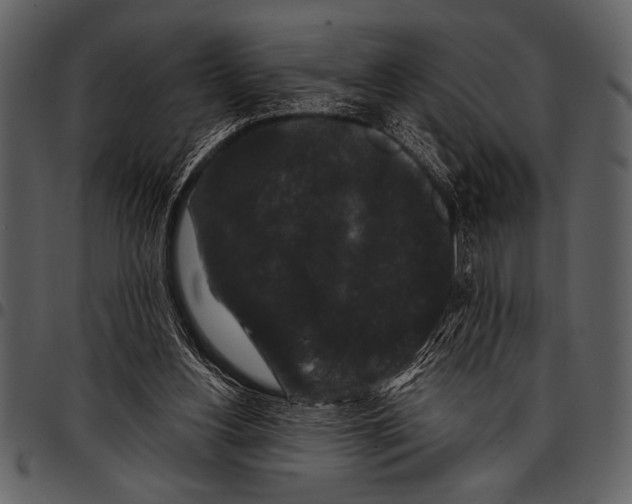 X0000097490156200803201538