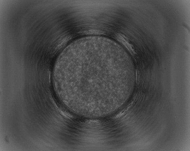 X0000097490157200803201538