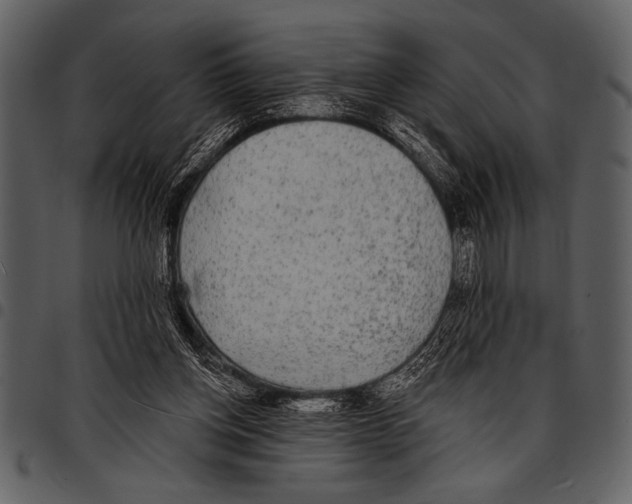 X0000097490158200803201538