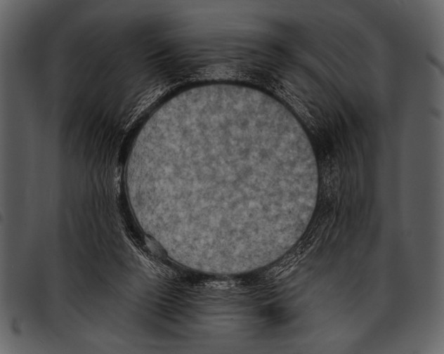 X0000097490160200803201538