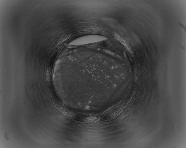 X0000097490161200803201538