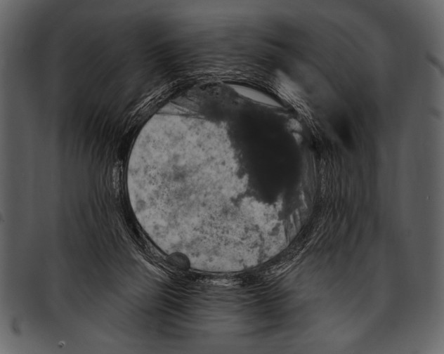 X0000097490165200803201538