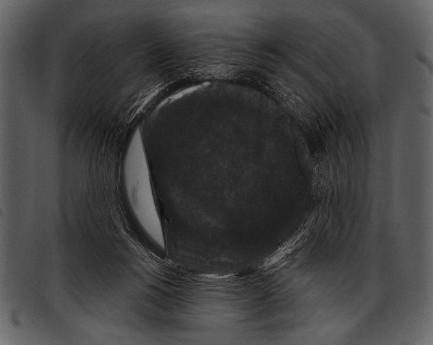 X0000097490168200803201538