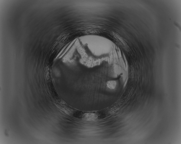 X0000097490169200803201538