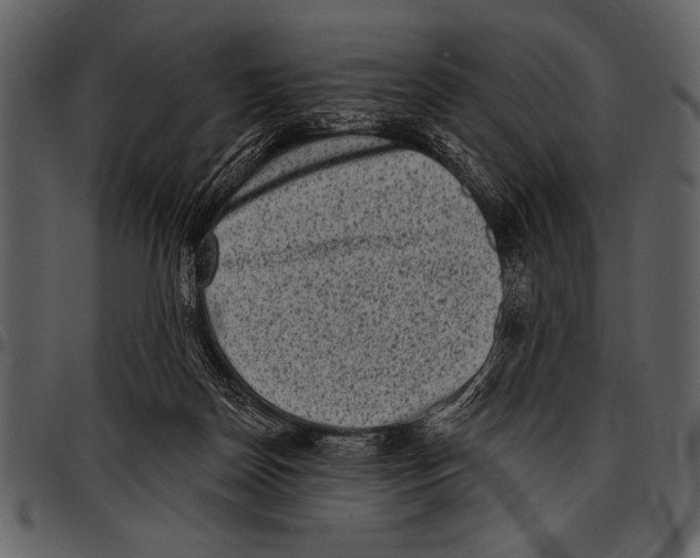 X0000097490170200803201538