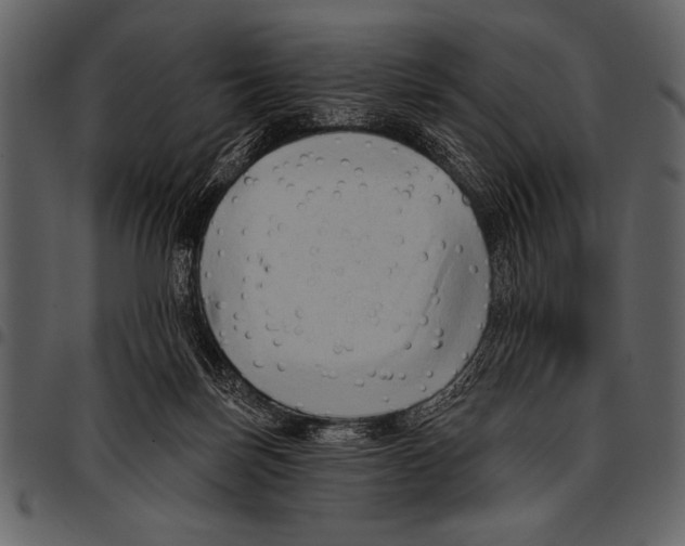 X0000097490171200803201538