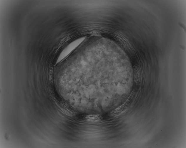 X0000097490175200803201538