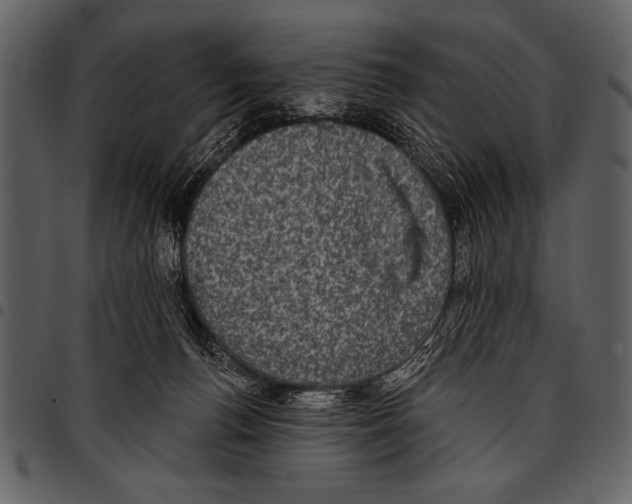 X0000097490176200803201538