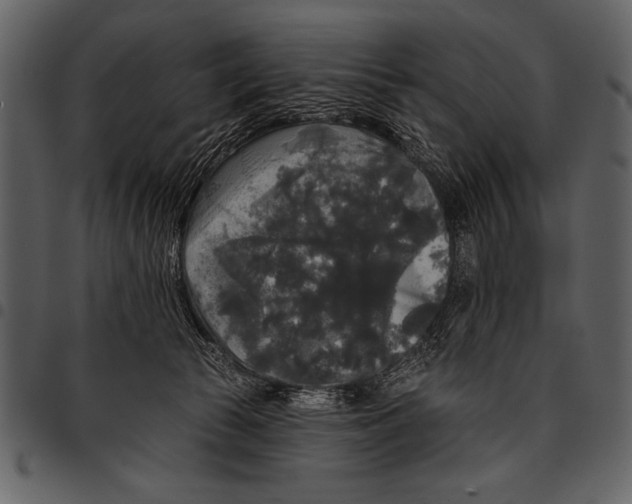 X0000097490177200803201538