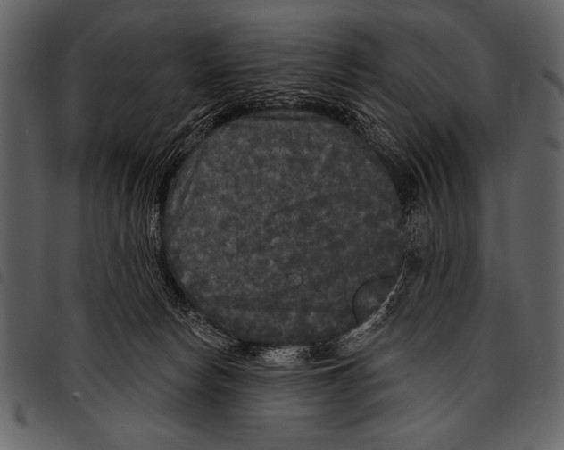 X0000097490178200803201538