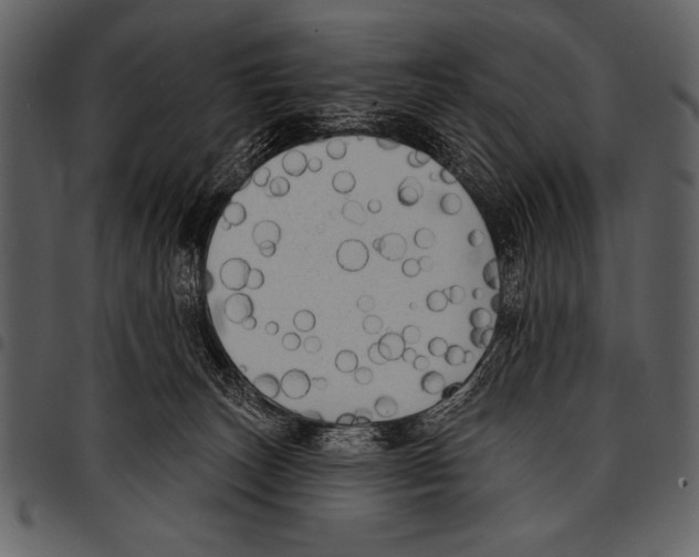 X0000097490179200803201538