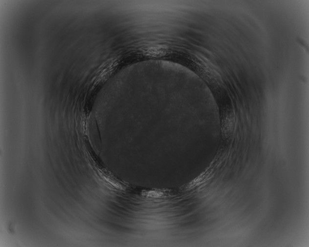 X0000097490180200803201538