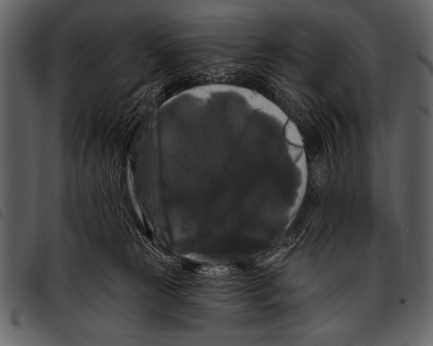 X0000097490181200803201538