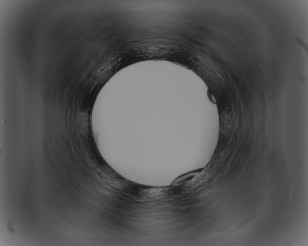 X0000097490184200803201538