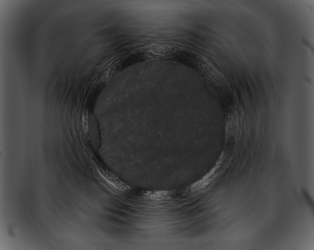 X0000097490186200803201538