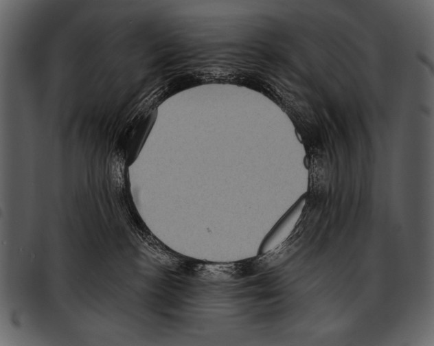 X0000097490188200803201538