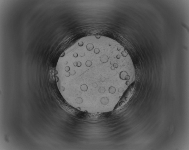 X0000097490191200803201538