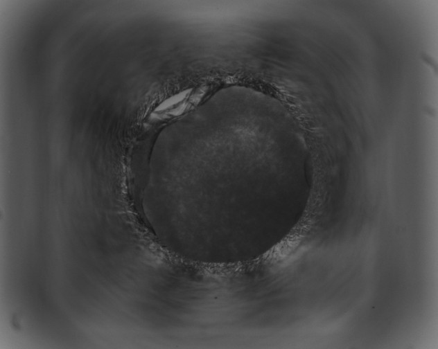 X0000097490192200803201539