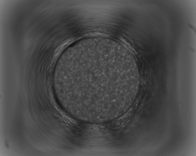 X0000097490193200803201538